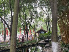 -成都市活水公园