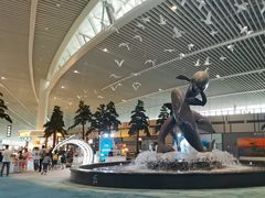 -青岛胶东国际机场