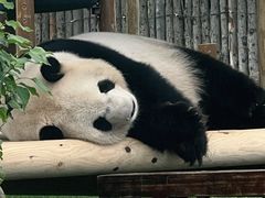 -鄂尔多斯野生动物园