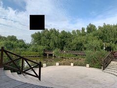 -大亚湾红树林城市湿地公园