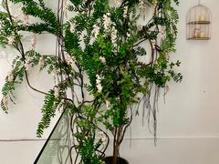 -左悦·艾灸调理·推拿按摩·精油SPA(卓悦汇店)
