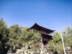 -蒙山大佛景区