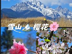 -黑龙潭公园