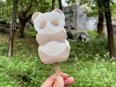 -都江堰中华大熊猫苑