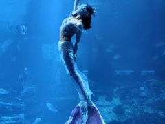 -太平洋海底世界