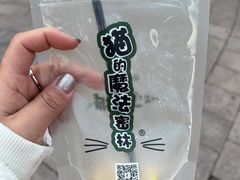 -猫的魔法密林(衣裳街店)