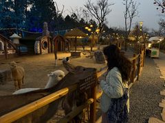 -茅山东方盐湖城景区