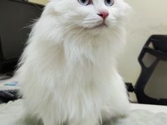 -美联众合24小时·皮肤科·外科·全科诊疗中心(华苑分院)