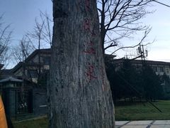 -金石唐风国际温泉会馆