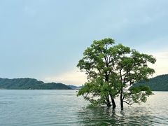 -庐山西海主景区