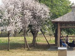 -国际非物质文化遗产博览园