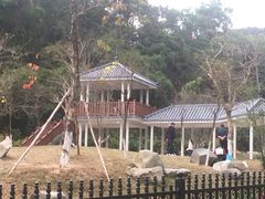 -火炉山森林公园