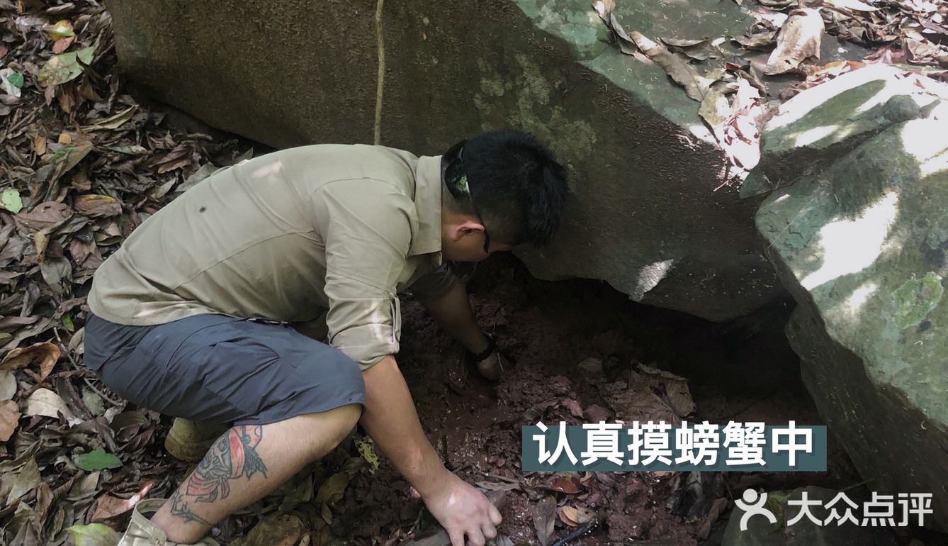 西双版纳小众玩法｜穿越到雨林里吃大餐🍃