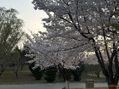 -石家庄市植物园