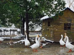 -同济大学(嘉定校区)