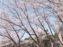 -浙江大学(玉泉校区)