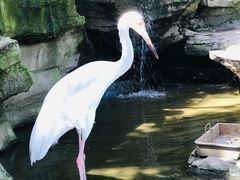 -燕塞湖鸟语林景区