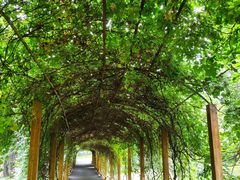 -沈阳植物园
