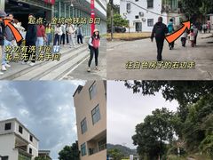 -黄埔油麻山森林公园