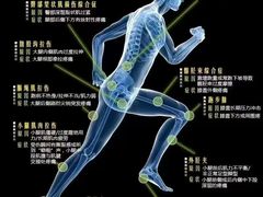 -体博士·疼痛调理·体态矫正·运动康复中心(大望路华贸店)