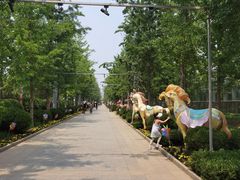 -南宫五洲植物乐园