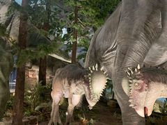 -湖南省地质博物馆