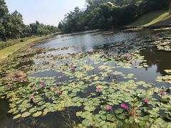 -北京师范大学(珠海校区)