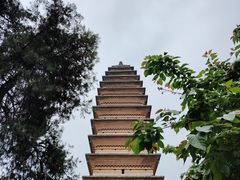 -洛阳白马寺