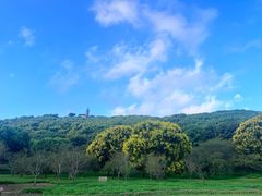 -苏州上方山国家森林公园