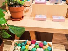 -春晖园度假酒店温泉