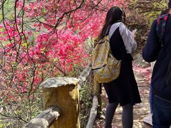 -木兰云雾山