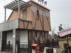 -上海长兴岛郊野公园