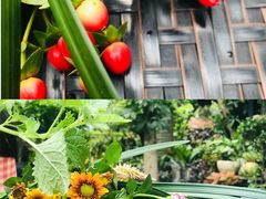 -T館·花园艺术餐厅