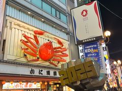 -蟹道乐(道顿堀本店)