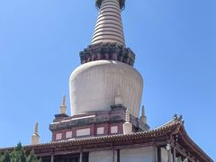 -张掖大佛寺景区