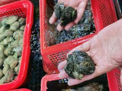 -坛南湾阿强农家乐.海鲜大排档老字号(福州地标美食店)