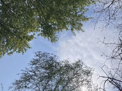 -长白岛森林公园