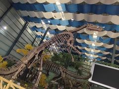 -诸城市恐龙博物馆