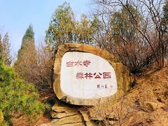 -白水寺森林公园
