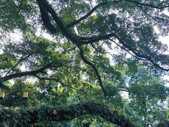 -桂林独秀峰王城景区