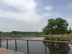 -东郊湿地公园