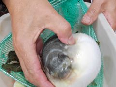 -双桥饭店(锦溪店)