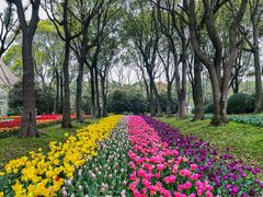 -上海鲜花港