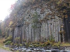 -望天鹅景区