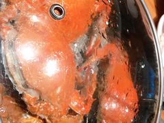 -海味当家·蒸锅海鲜(星海公园店)