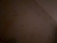 -菌之家·专业纯野生菌火锅·特色炒菌