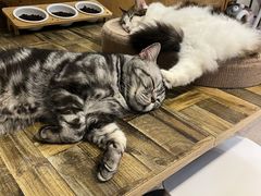 -小时光咖啡馆(北锣鼓巷店)