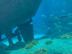-福州罗源湾海洋世界旅游区