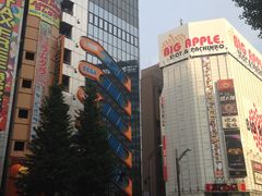 -秋叶原电器街