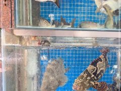 水产区-浩海美食店(闸坡店)